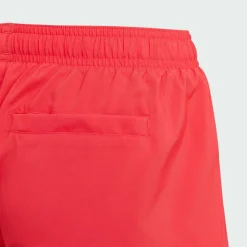 adidas · adidas Sportswear Essentials Logo CLX