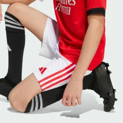 adidas · Benfica Lissabon 25/26 Kids Heimshorts