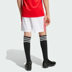 adidas · Benfica Lissabon 25/26 Kids Heimshorts