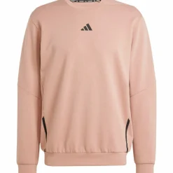 adidas · D4T
