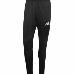 adidas · ENT26 TR PNT