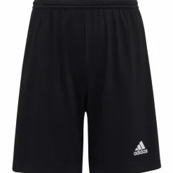 adidas · Entrada22