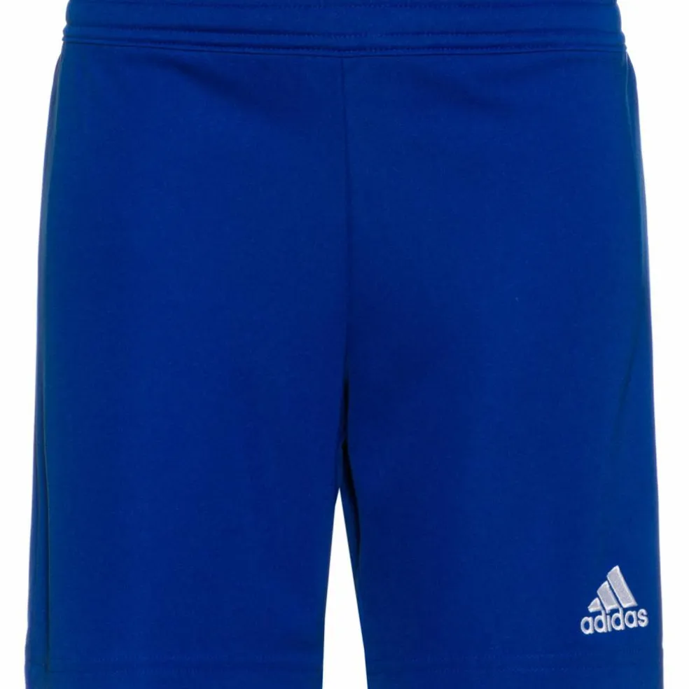 adidas · Entrada22
