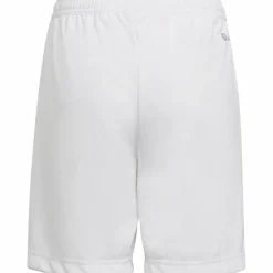 adidas · Entrada22