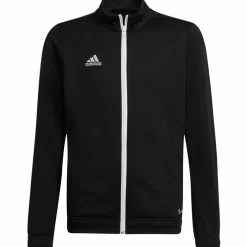 adidas · Entrada22