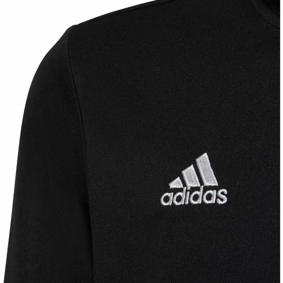 adidas · Entrada22