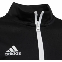 adidas · Entrada22