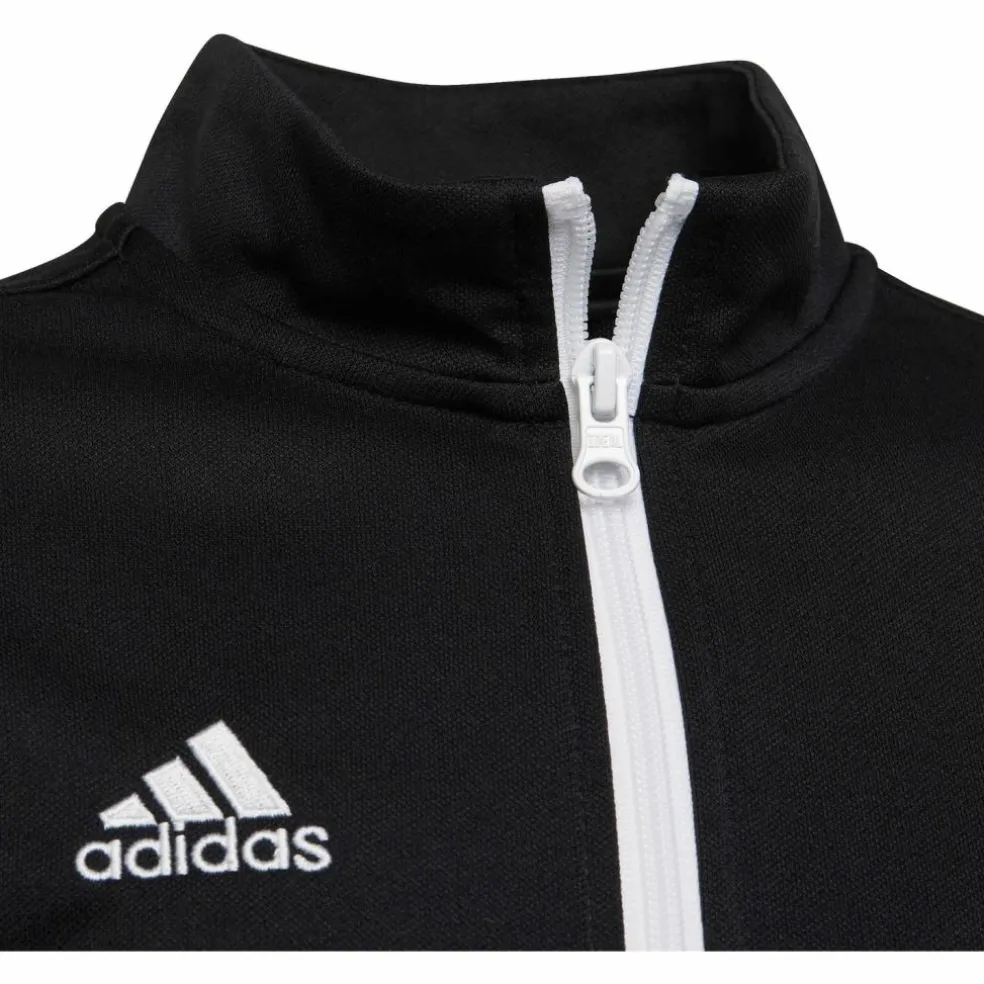 adidas · Entrada22