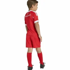 adidas · FC Bayern München 25/26 Heim