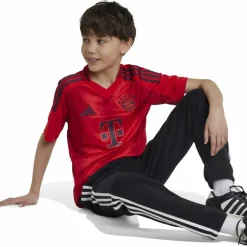 adidas · FC Bayern München 24/25 Heim