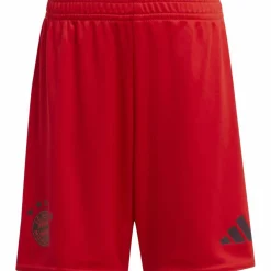 adidas · FC Bayern München 24/25 Heim