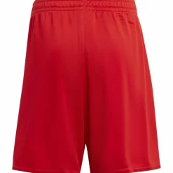 adidas · FC Bayern München 24/25 Heim