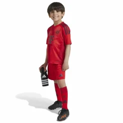 adidas · FC Bayern München 24/25 Heim