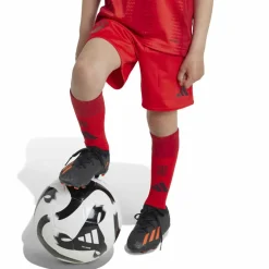 adidas · FC Bayern München 24/25 Heim