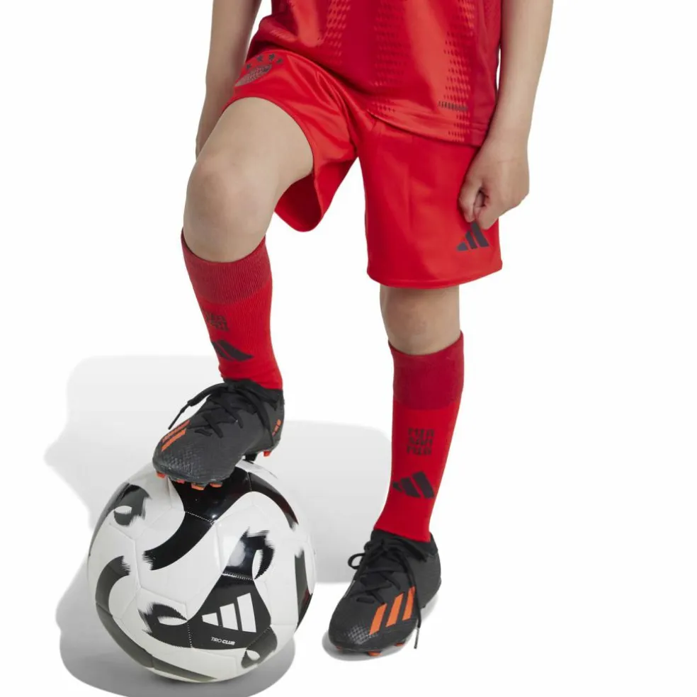 adidas · FC Bayern München 24/25 Heim