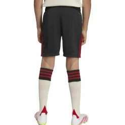 adidas · FC Liverpool 25-26 auswärts