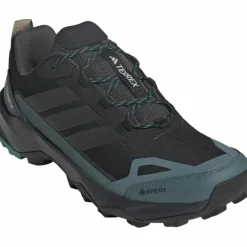 adidas · GTX TERREX SKYCHASER AX5