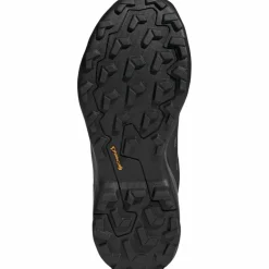 adidas · GTX TERREX SKYCHASER AX5