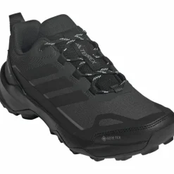 adidas · GTX TERREX SKYCHASER AX5
