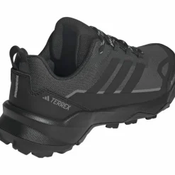 adidas · GTX TERREX SKYCHASER AX5