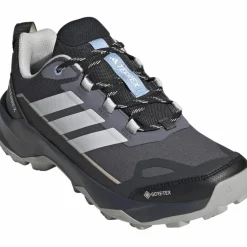 adidas · GTX TERREX SKYCHASER AX5