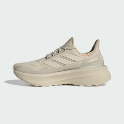 adidas · GTX ULTRABOOST 5 GTX