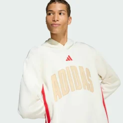 adidas · STADIUM GRAPHIC HOODIE.