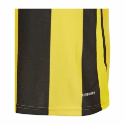 adidas · Striped 24 Trikot Kids