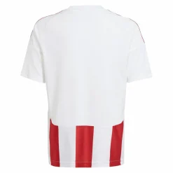 adidas · Striped 24 Trikot Kids