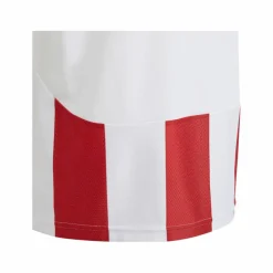 adidas · Striped 24 Trikot Kids