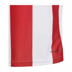 adidas · Striped 24 Trikot Kids