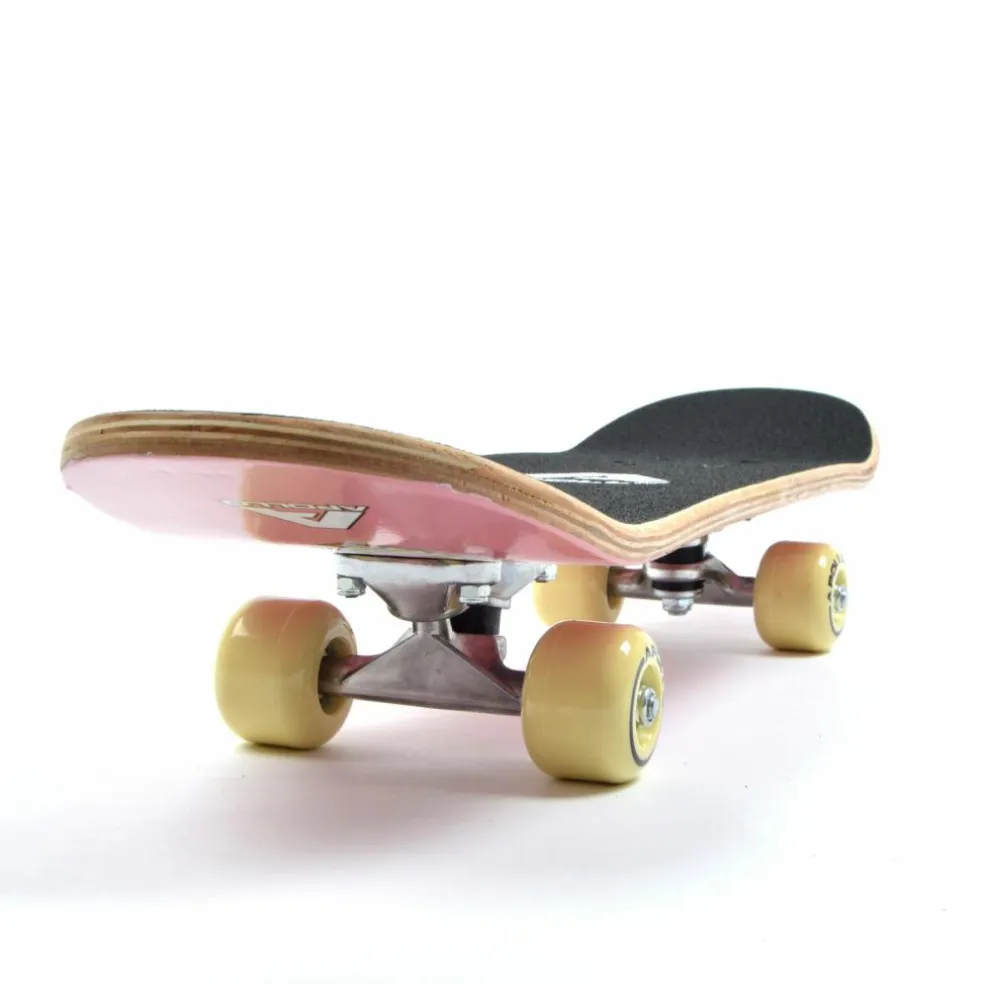 Apollo · Donut 24 Zoll