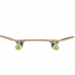 Apollo · Donut 24 Zoll