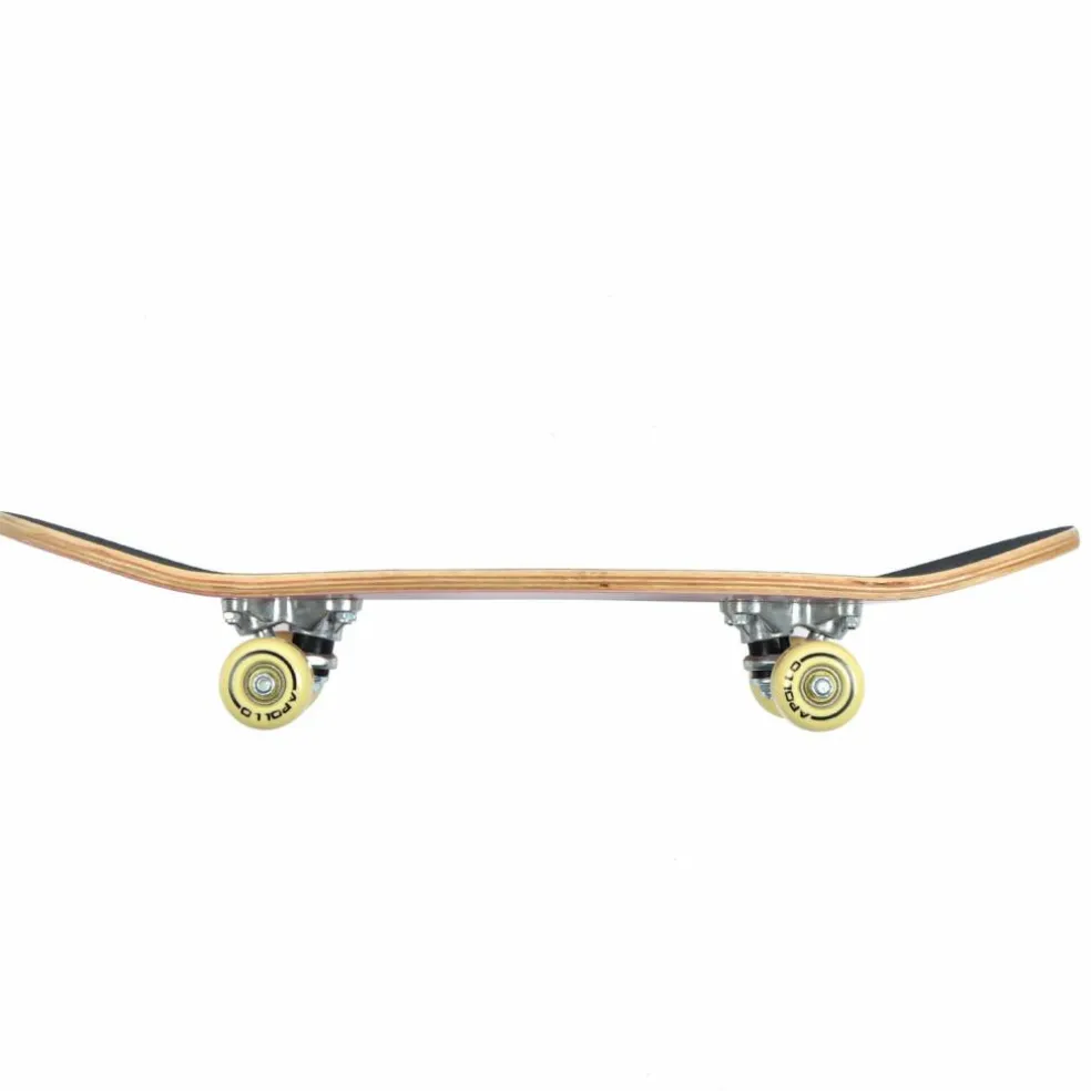 Apollo · Donut 24 Zoll