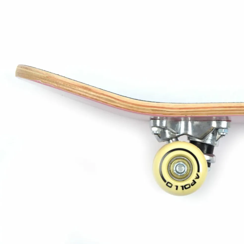 Apollo · Donut 24 Zoll