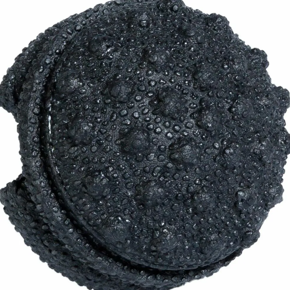 BLACKROLL · Twister