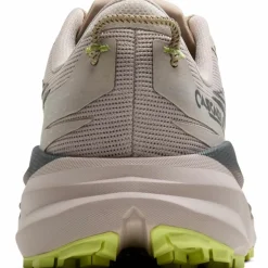 Brooks · Cascadia 19