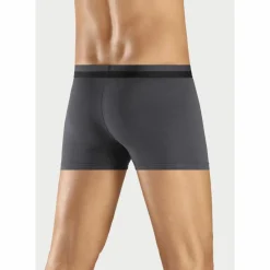 BRUNO BANANI · Boxer