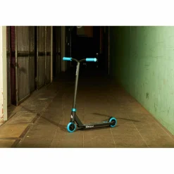 Chilli · Base black-blue