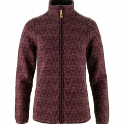 FJÄLLRÄVEN · Snow
