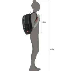 HEAD · Base 17L