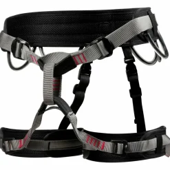 LACD · Harness Start