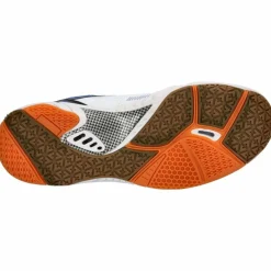 LICO · Hallenschuh