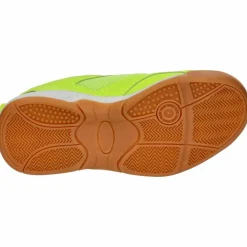 LICO · Hallenschuh