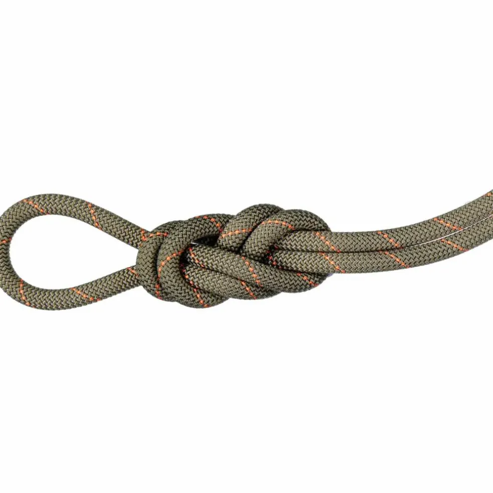 Mammut · 9.9 Gym Workhorse Classic Rope
