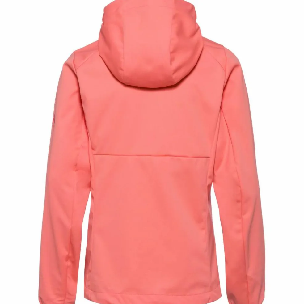 McKinley · Abe LT