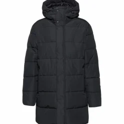 McKinley · Arctic II