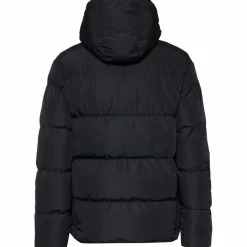 McKinley · North