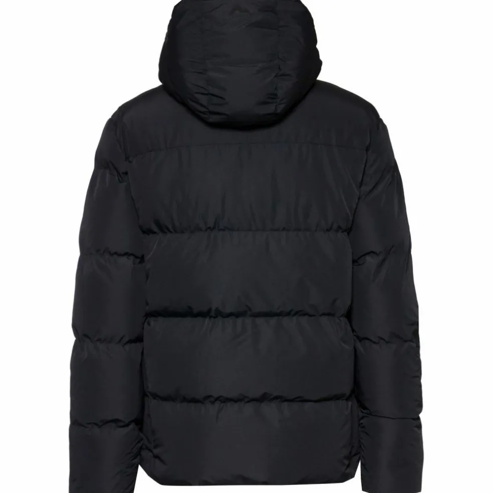 McKinley · North