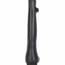 Mols · Welly